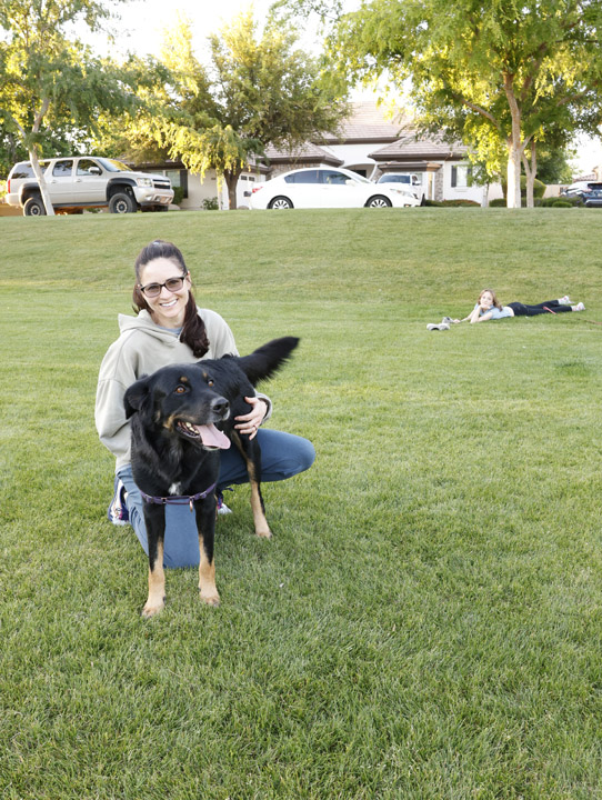 chinook dog